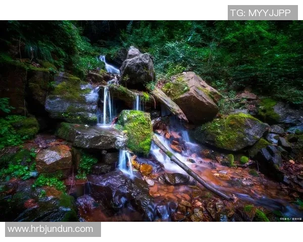 从云贵高原起步前行——曲靖缘何成为我国“长距离跑心脏”